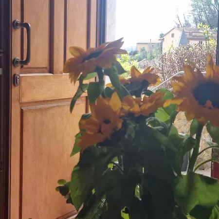 Bed & Breakfast Il Monastero 4*