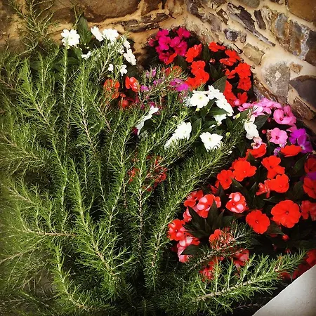 Bed & Breakfast Locanda Il Monastero Ortonovo
