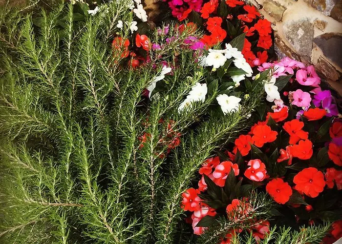 Bed & Breakfast Il Monastero Ortonovo